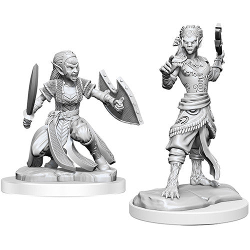 Shifter Fighter: D&D Nolzur's Marvelous Unpainted Miniatures (W20)