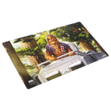 Gamegenic - Star Wars: Unlimited Game Mat - Chewbacca - 2