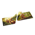 Gamegenic - Star Wars: Unlimited Double-Sided Game Mat - Wicket &  Ewok Archers - 3