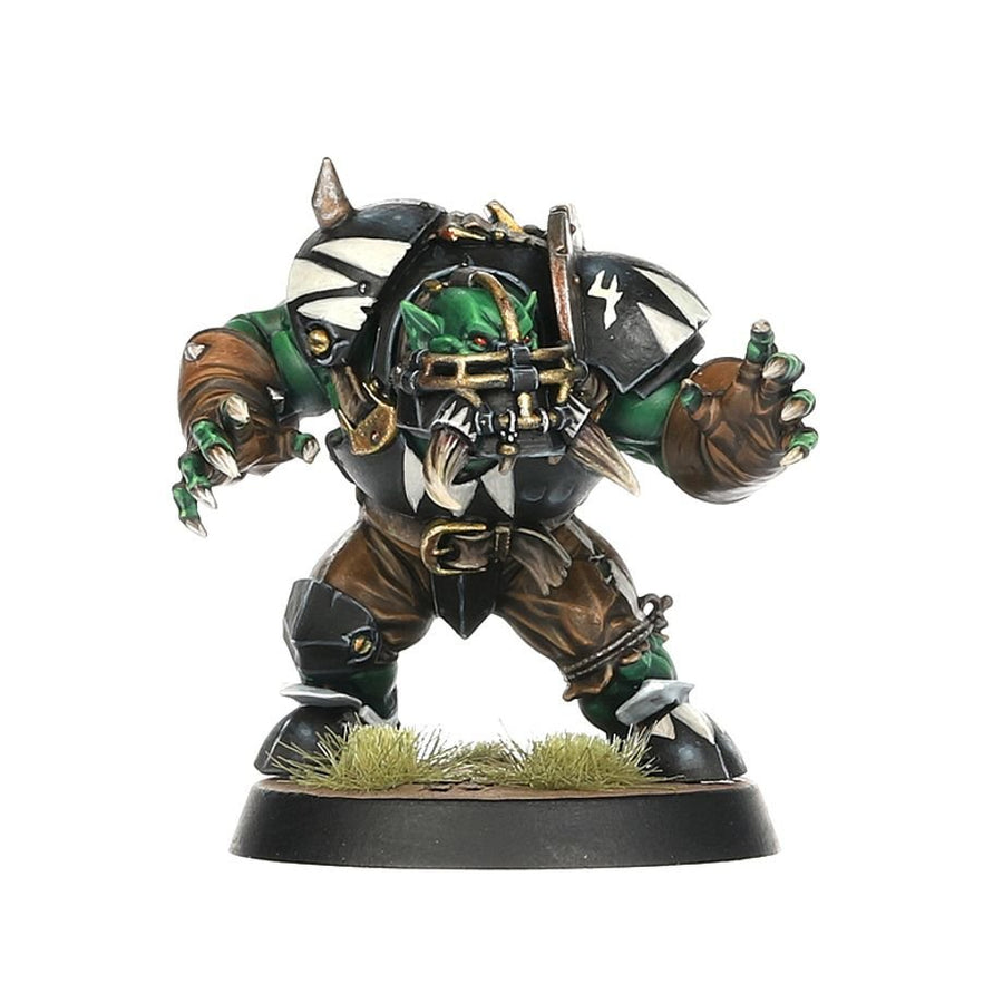 Blood Bowl: Black Orc Team - The Thunder Valley Greenskins - Gathering Games