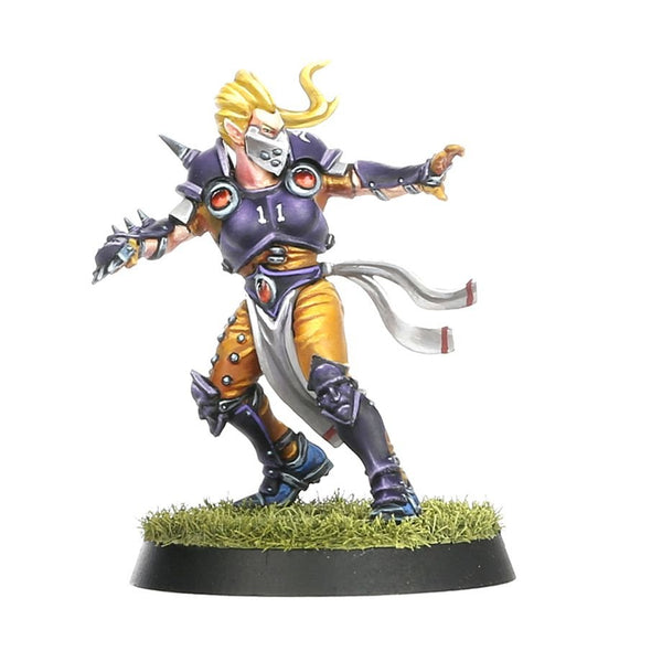 Blood Bowl: Elven Union Team - Elfheim Eagles - 10