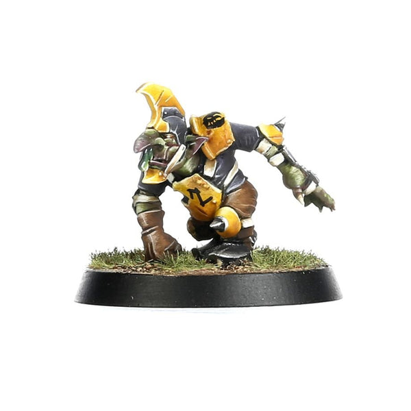 Blood Bowl: Goblin Team - Scarcrag Snivellers - 5