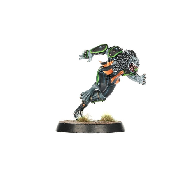 Blood Bowl - Necromantic Horror Team - The Wolfenburg Crypt-stealers - 4