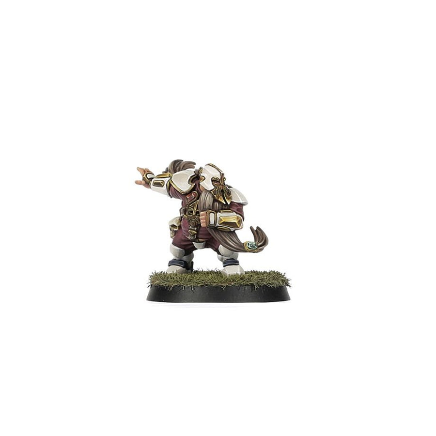 Blood Bowl: Old World Alliance Team – The Middenheim Maulers - Gathering Games