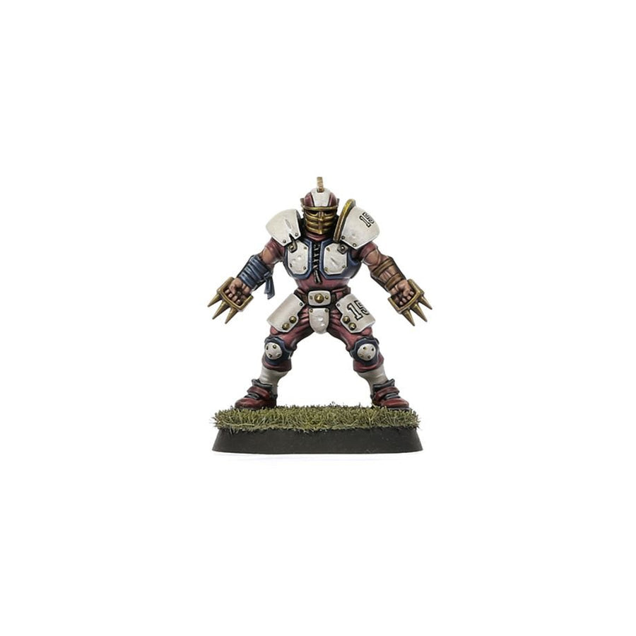 Blood Bowl: Old World Alliance Team – The Middenheim Maulers - Gathering Games