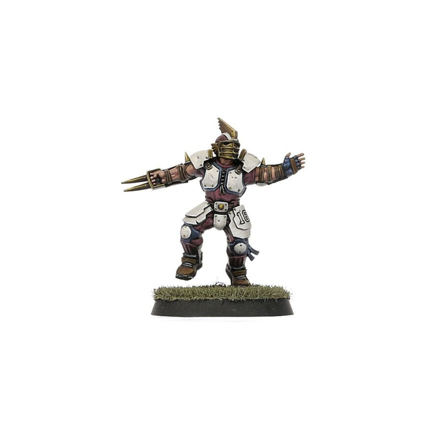 Blood Bowl: Old World Alliance Team – The Middenheim Maulers - Gathering Games