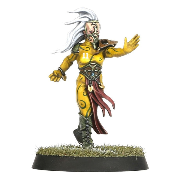 Blood Bowl: Wood Elf Team - Athelorn Avengers - 4