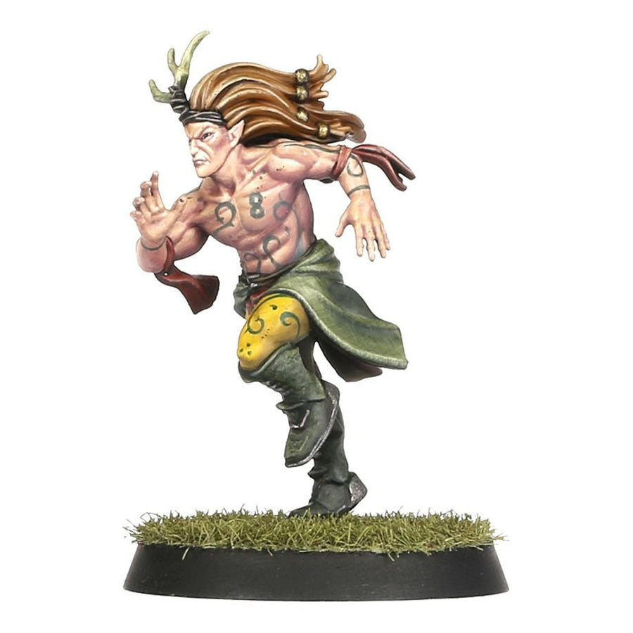 Blood Bowl: Wood Elf Team - Athelorn Avengers - Gathering Games