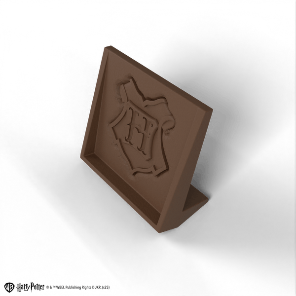 Codenames Back to Hogwarts - 10