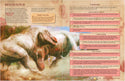 Dr Dhrolin's Dictionary of Dinosaurs (D&D 5E Compatible) - 3