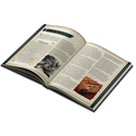 Dragonbond: Endless Sagas - Itza's Guide to Dragonbonding - 2