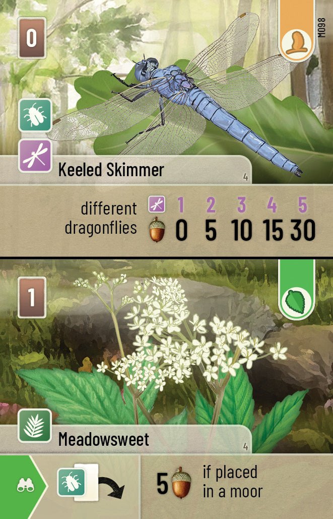 Forest Shuffle: Dartmoor - Gathering Games