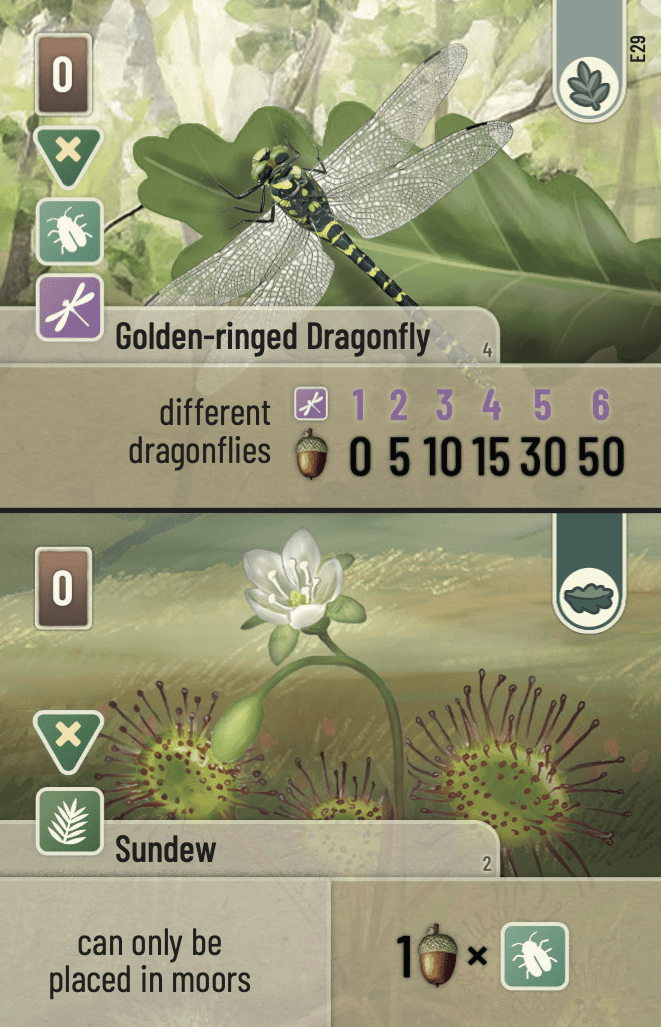 Forest Shuffle: Dartmoor - Exmoor Expansion - Gathering Games
