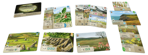 Forest Shuffle: Dartmoor - Exmoor Expansion - Gathering Games