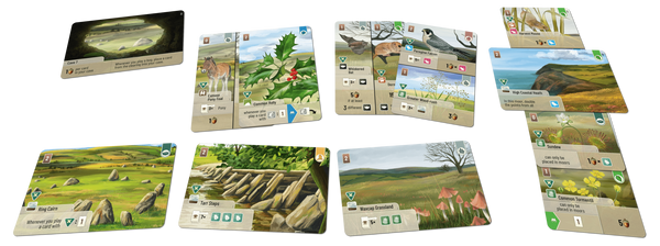 Forest Shuffle: Dartmoor - Exmoor Expansion - 2