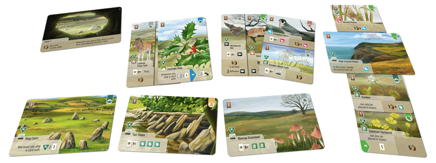 Forest Shuffle: Dartmoor - Exmoor Expansion - Gathering Games