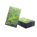 Forest Shuffle Premium Art Sleeves - 5
