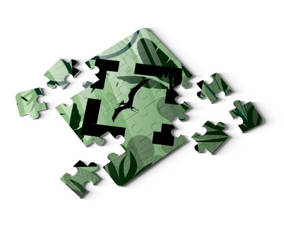 Little Explorers - 4