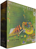 Photosynthesis (Multi-lingual Edition) - 3