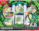 Pokémon TCG: Ogerpon ex Premium Collection - 2