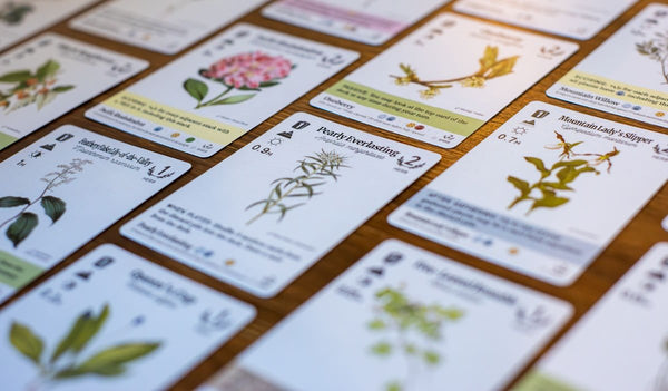 Reforest: Old Growth Expansion - 5