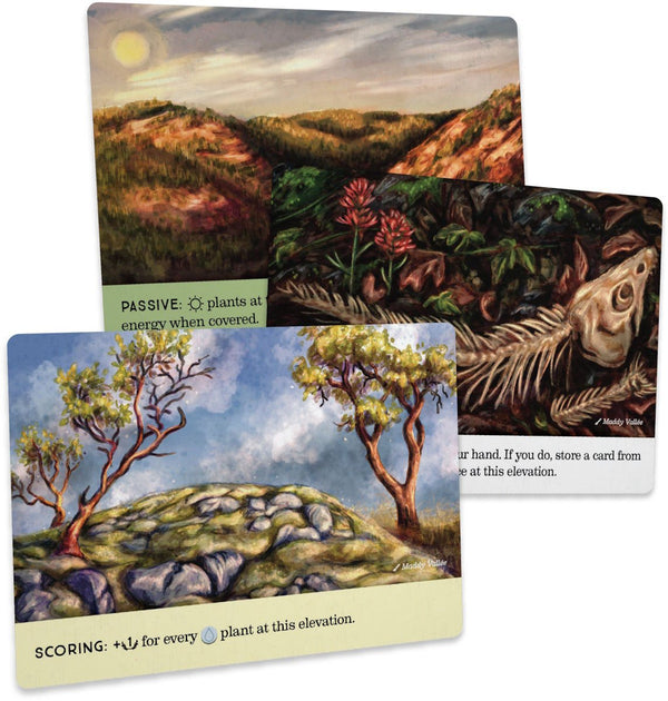 Reforest: Old Growth Expansion - 4