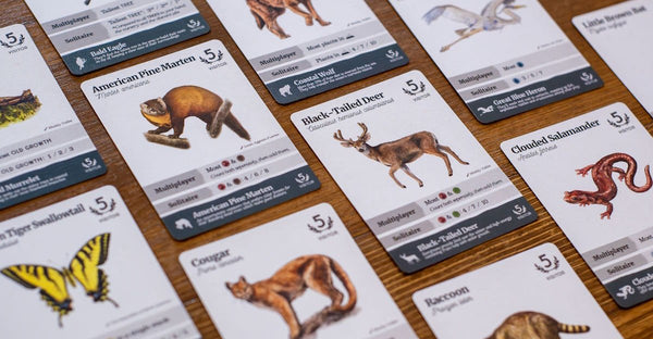 Reforest: Old Growth Expansion - 6