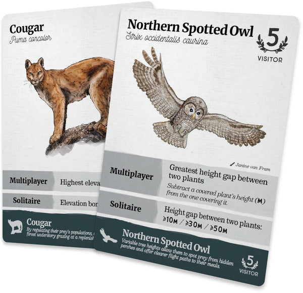 Reforest: Old Growth Expansion - 3