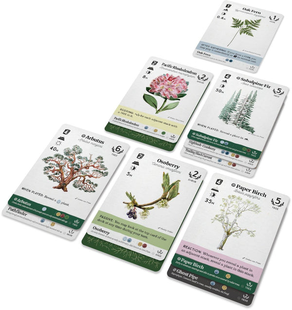 Reforest: Old Growth Expansion - 2