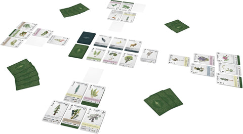 Reforest: Plants of the Pacific Northwest Coast - Gathering Games