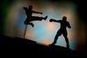 Unmatched: Muhammad Ali vs Bruce Lee - 9