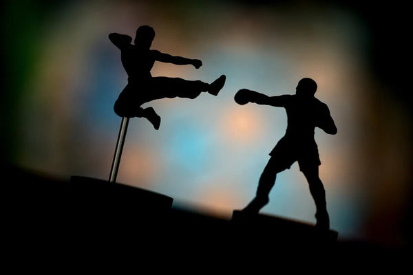 Unmatched: Muhammad Ali vs Bruce Lee - 9