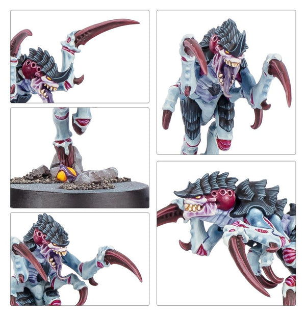 Warhammer 40K Kill Team: Typhon - 13