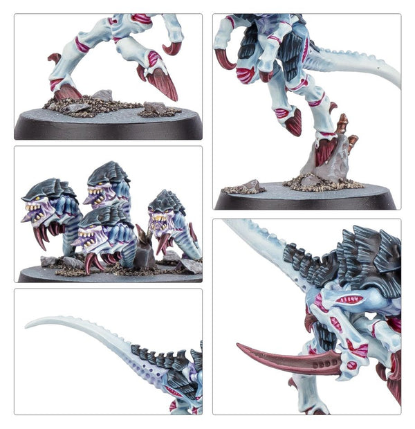 Warhammer 40K Kill Team: Typhon - 14