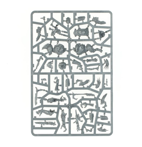 Warhammer 40K: Kroot Combat Patrol - 23