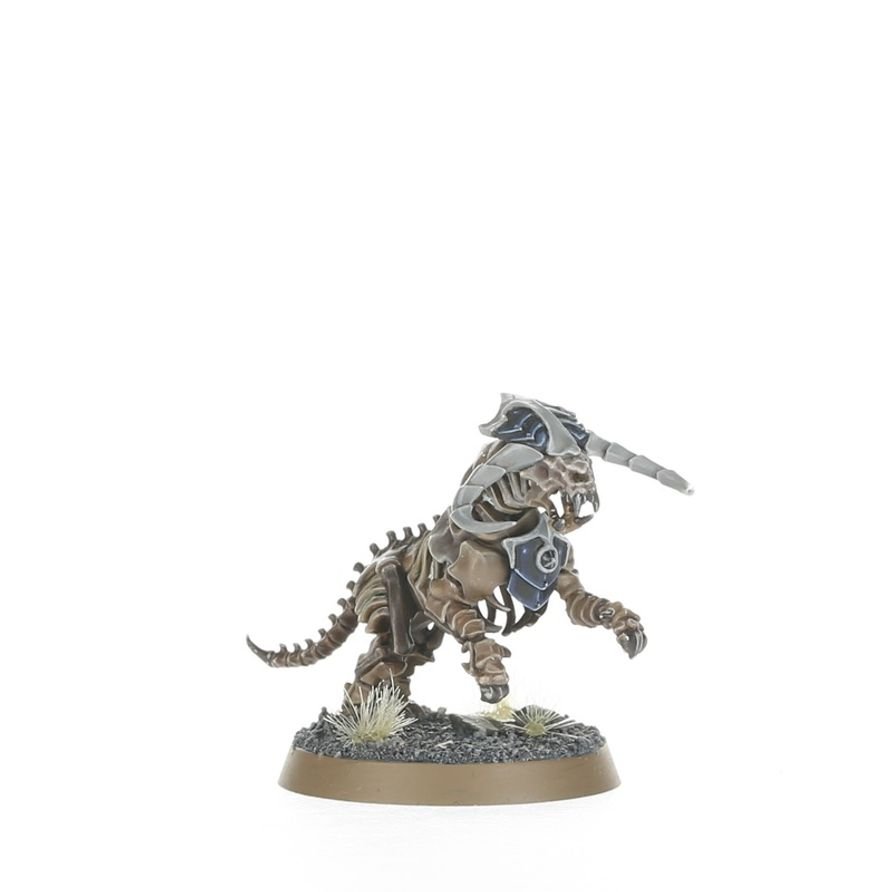 Warhammer Age of Sigmar: Spearhead: Ossiarch Bonereapers – Kavalos Vanguard - Gathering Games
