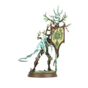 Warhammer Age Of Sigmar - Sylvaneth: Tree-Revenants - 4