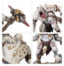 Warhammer Age Of Sigmar Warcry: Gorger Mawpack - 10