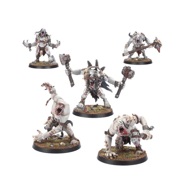 Warhammer Age Of Sigmar Warcry: Gorger Mawpack - 2