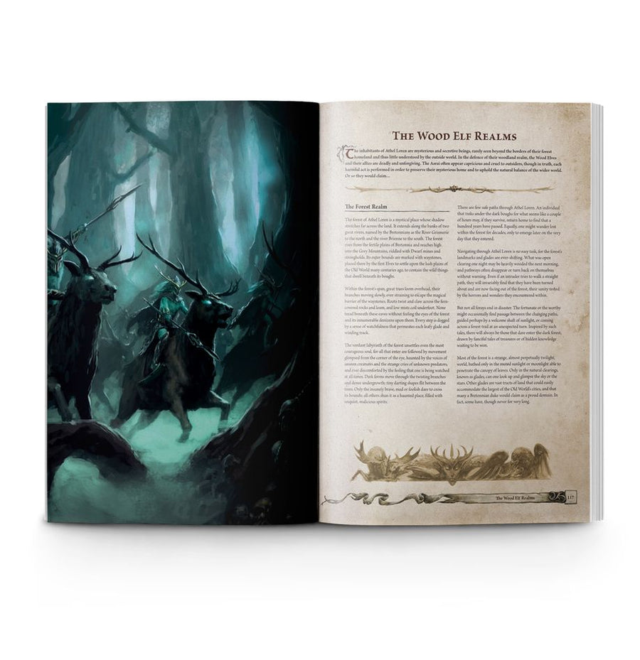 Warhammer The Old World: Forces Of Fantasy - Gathering Games