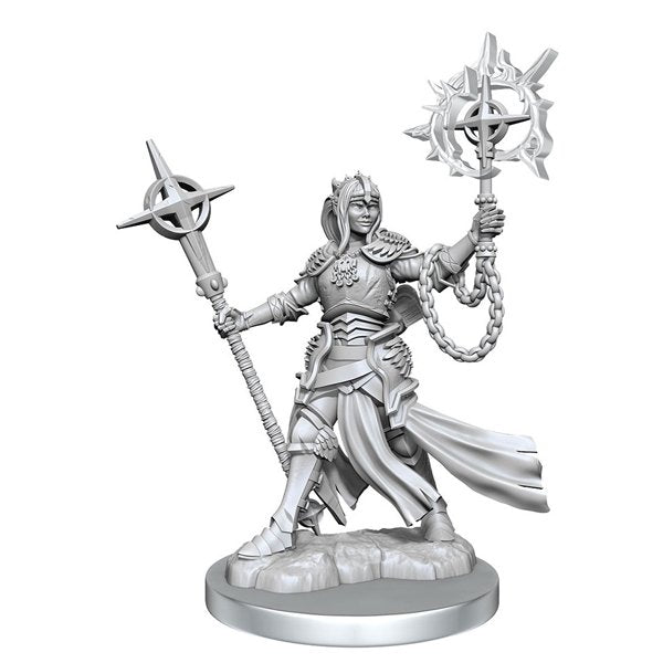 D&D Frameworks: Elf Paladin Female (W2) - Gathering Games