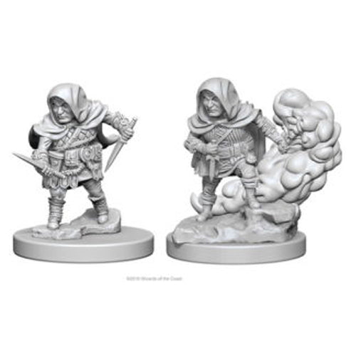 D&D Frameworks: Male Halfling Rogue (W2A) - Gathering Games