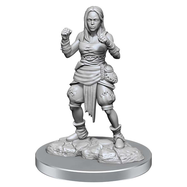 Pathfinder Deep Cuts Unpainted Miniatures: Half-Elf Monk Female - 2