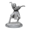 Pathfinder Deep Cuts Unpainted Miniatures: Half-Elf Monk Female - 1